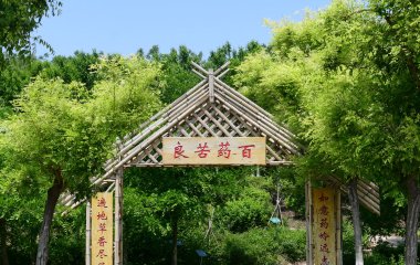开云kaiyun最新版下载“双一流”
