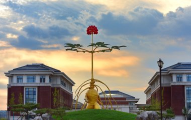 天津市人民政府共建高校